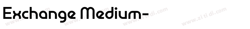 Exchange Medium字体转换